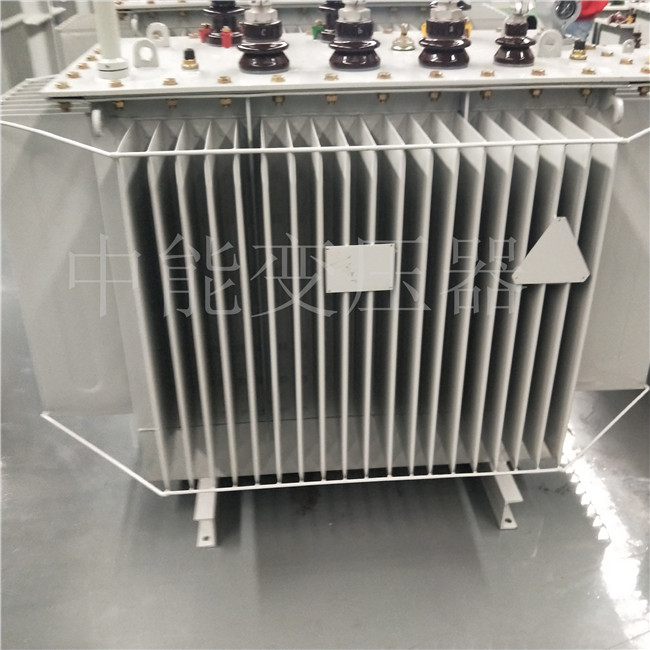 湖南S20-800KVA变压器