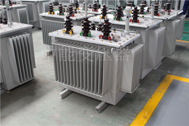湖南S22-100KVA/10KV/0.4KV变压器
